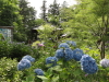 img0048.jpg