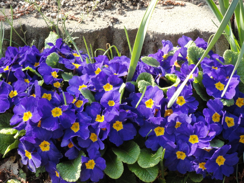 img0015.jpg