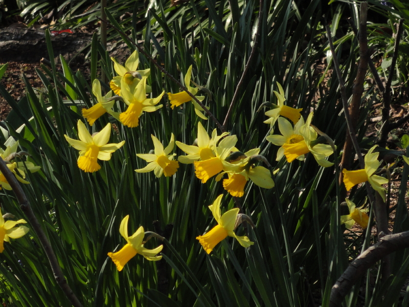 img0016.jpg