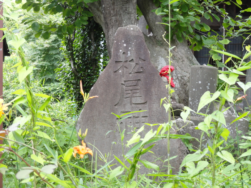 img0008.jpg