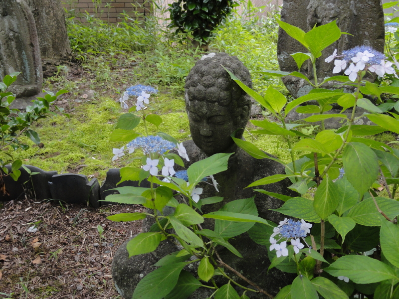 img0020.jpg