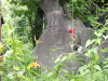 img0008.jpg