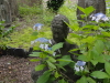 img0020.jpg