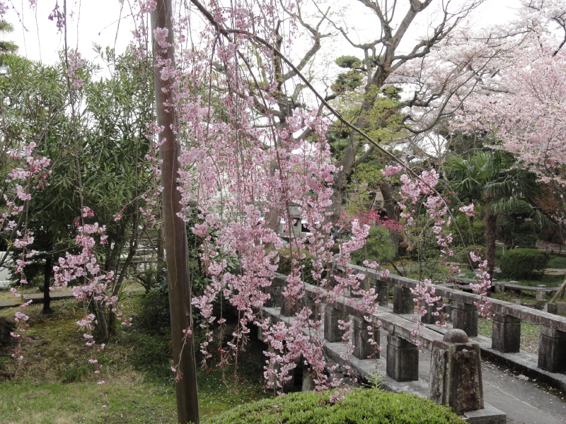 img0019.jpg