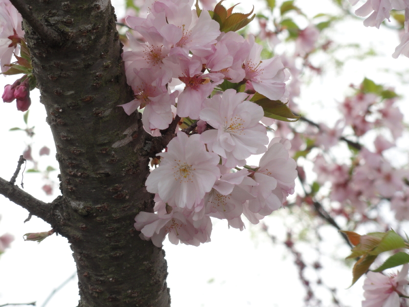 img0025.jpg