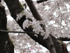 img0004.jpg