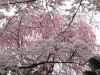 img0005.jpg