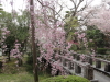 img0019.jpg