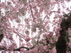 img0039.jpg