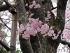 img0042.jpg