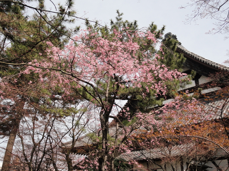 img0010.jpg