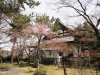 img0009.jpg