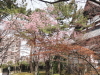 img0017.jpg