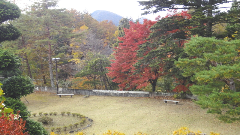 img0006.jpg