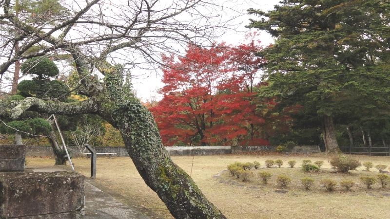 img0013.jpg
