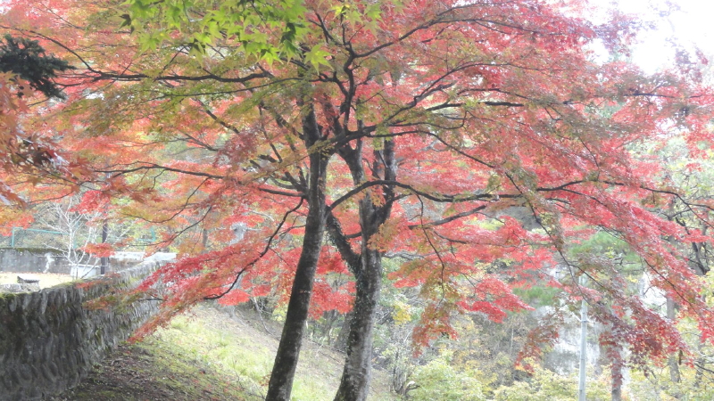img0021.jpg