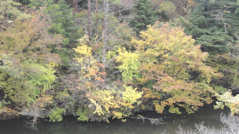 img0025.jpg
