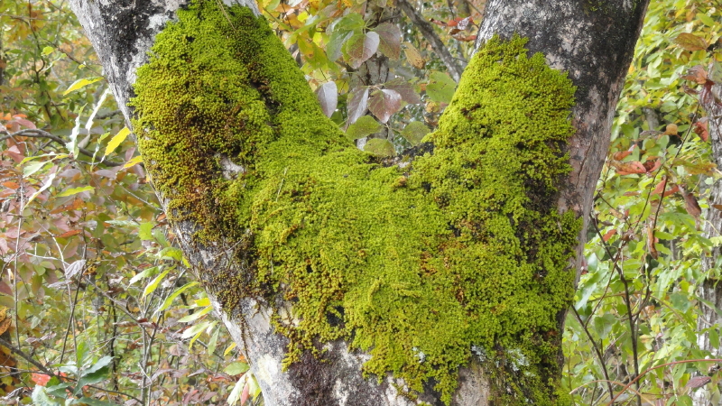img0028.jpg