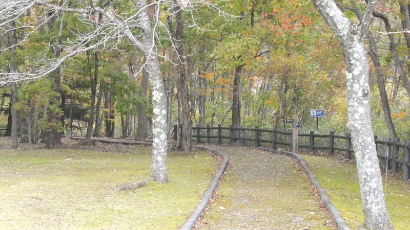 img0029.jpg