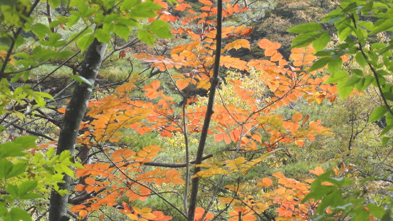 img0032.jpg