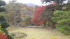 img0006.jpg