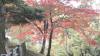 img0008.jpg