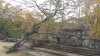img0011.jpg