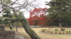 img0013.jpg