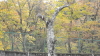 img0014.jpg