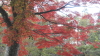 img0015.jpg