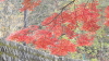 img0016.jpg