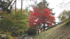 img0019.jpg