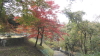 img0020.jpg