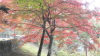 img0021.jpg