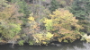 img0025.jpg
