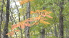 img0030.jpg