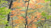 img0033.jpg