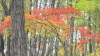 img0034.jpg