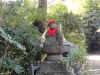 img0014.jpg