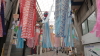 img0003.jpg