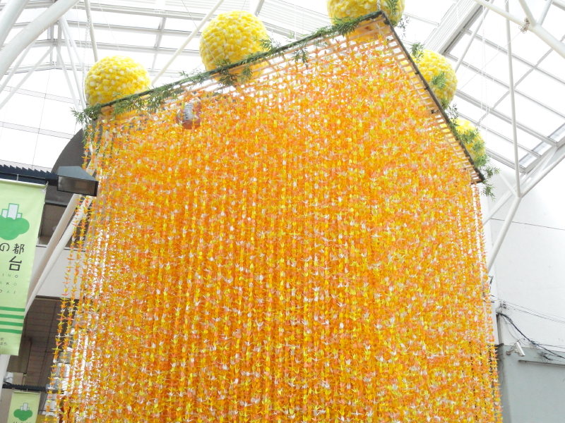 img0046.jpg