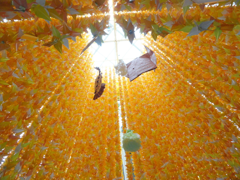 img0049.jpg