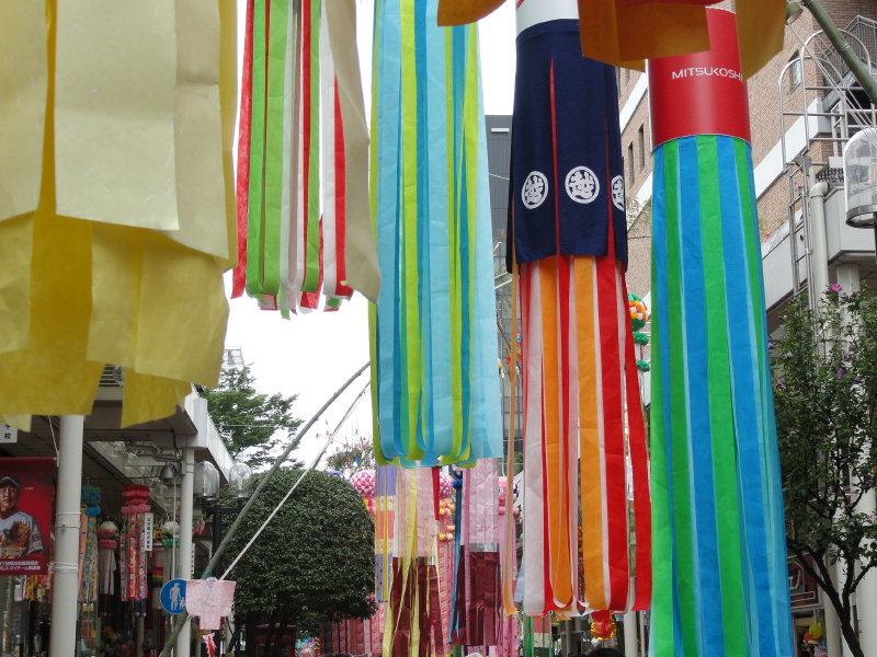img0081.jpg