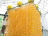 img0046.jpg
