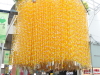 img0047.jpg