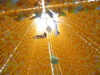 img0048.jpg