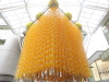img0050.jpg