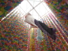 img0013.jpg