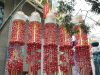 img0015.jpg