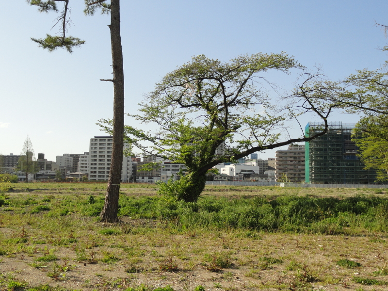 img0018.jpg
